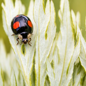 _MG_7634kopie meg_filtered